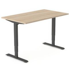 Elektrisch zit sta Bureau 5ive