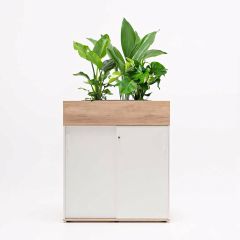 Plantenbak Eliza
