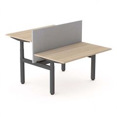 Zit sta bureau Elektrisch 5ive duo