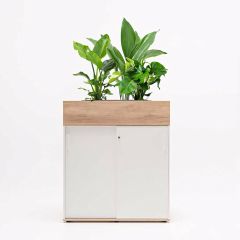 Plantenbak Eliza