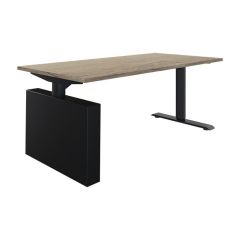 Elektrisch zit sta bureau 5ive met wang