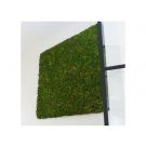 Mosschilderij - 80 x 80 cm