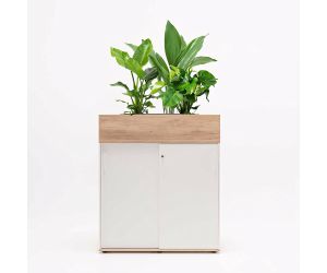 Plantenbak Eliza