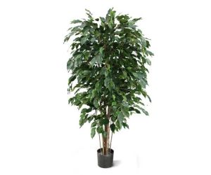 Kunstplant Focus Plus