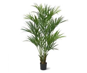 Kunstplant Konia Plus