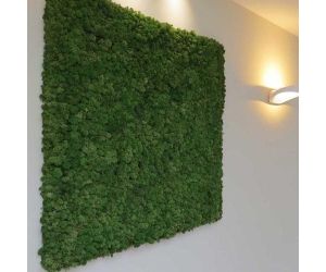 Mosschilderij