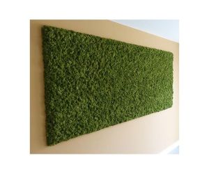 Mosschilderij