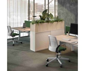 Palmberg plantenbakopzet