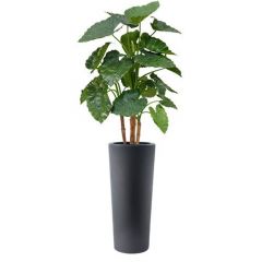 Kunstplant Alosia Plus (plantenbak H90 x B40)