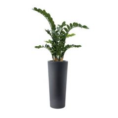 Kunstplant Calio (plantenbak H68 x B30)