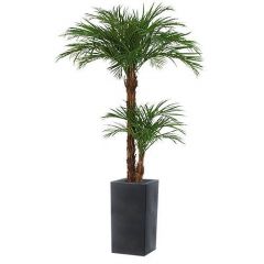 Kunstplant Palma (plantenbak H80 x B40)