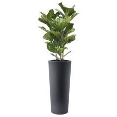 Kunstplant Rylo (plantenbak H68 x B30)